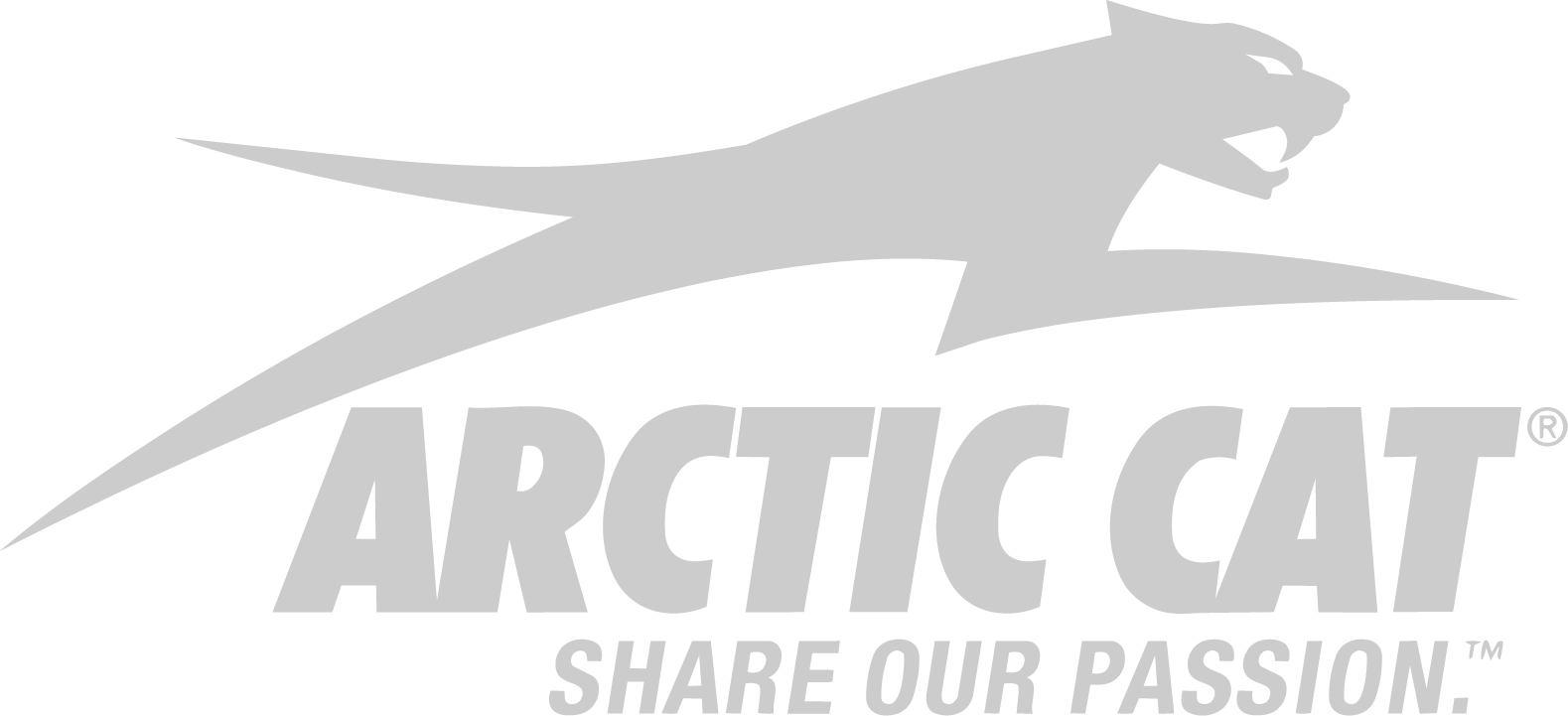 Arctic Cat