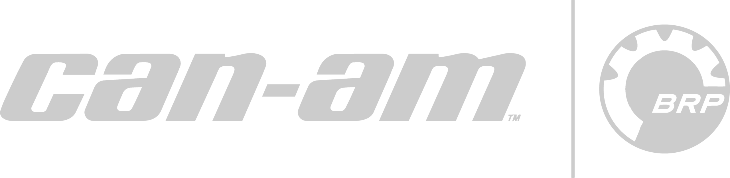 can-am-gray-logo